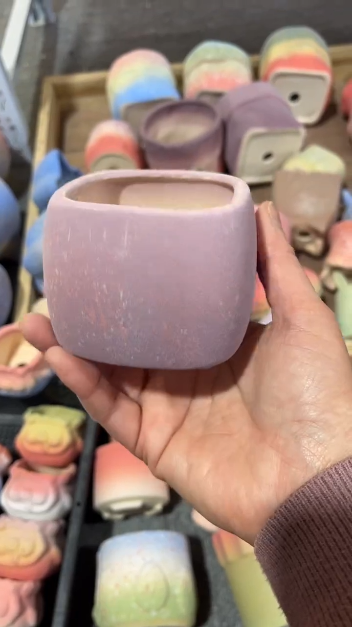 【闪购商品】红陶6*6