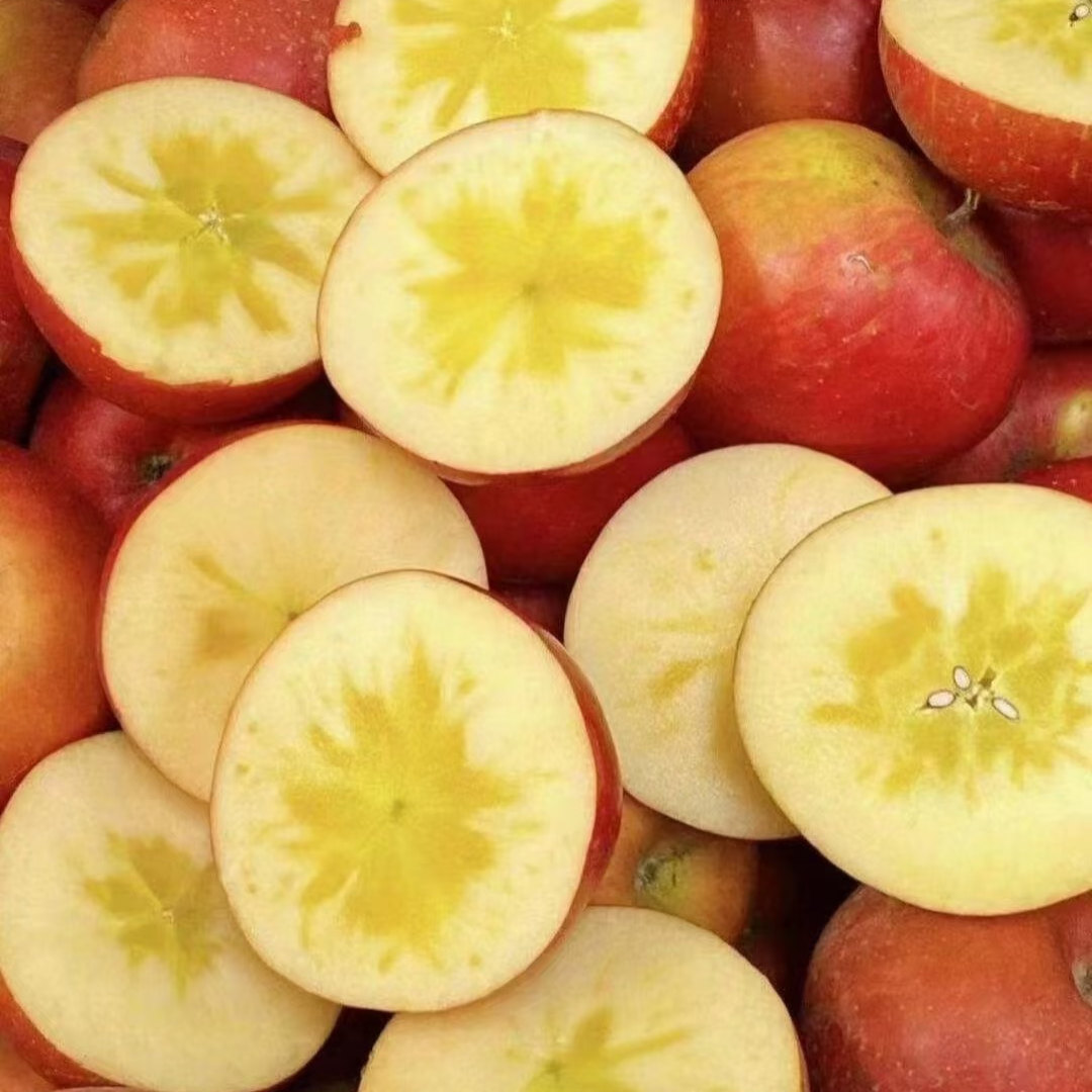 小金红苹果雪山冰糖心玫瑰金苹果新鲜采摘脆甜多汁果园现摘现发