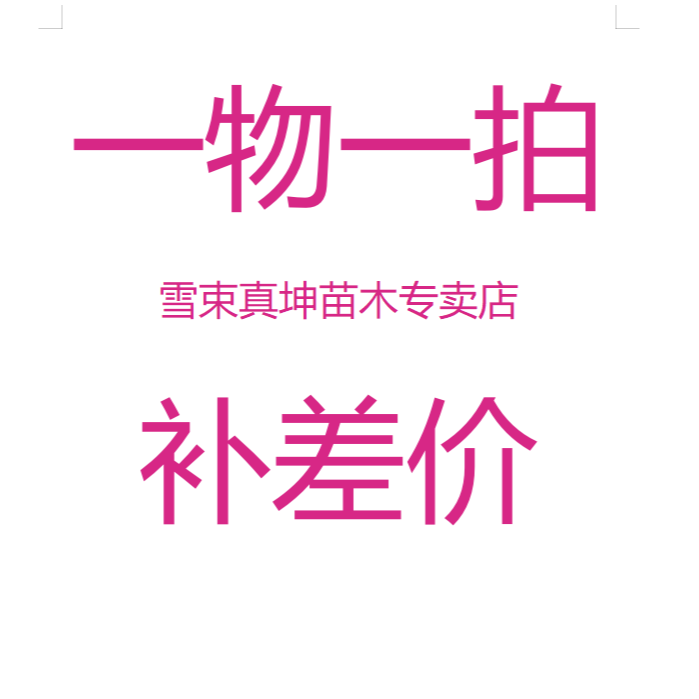 补差价直播间葡萄树苗一物一拍南方北方都可种
