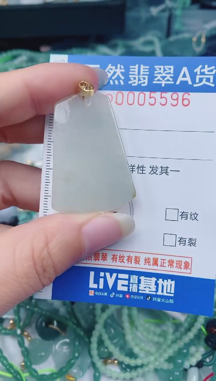 颈饰未镶嵌翡翠00005596