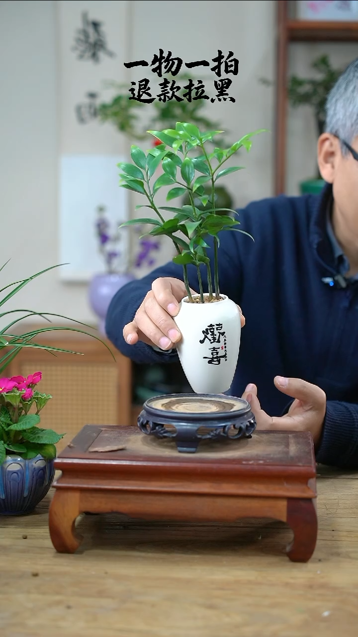 完全开放五*道368竹柏