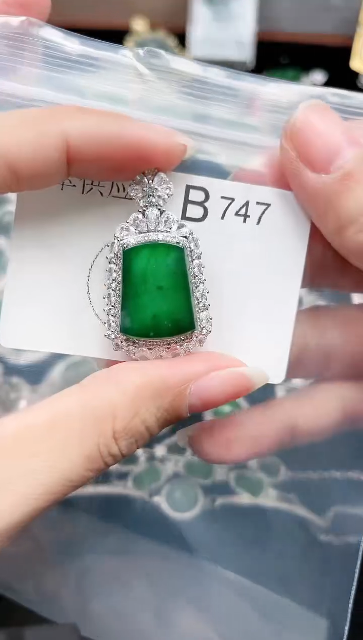 【闪购商品】翡翠颈饰未镶嵌赠皮绳747