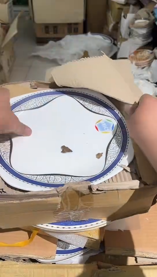 瓷隆达骨瓷方盘10.25寸