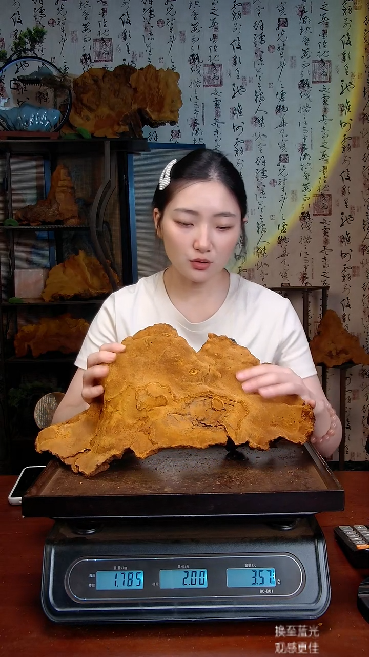 松针层孔菌中国大陆【藏区】松树桑黄（3.41斤）40-50年份
