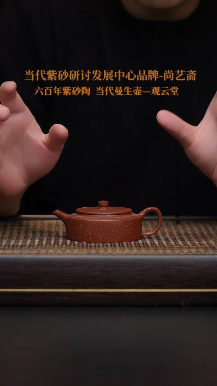 茶壶紫砂宜兴紫砂 紫砂壶 周盘
