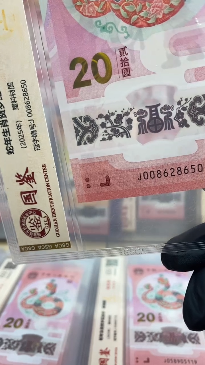 【闪购商品】塑料蛇钞 真钞【单张】8650