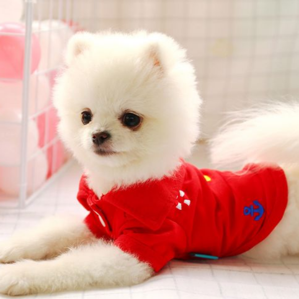 【直播间过款】宠物衣服清货NO退NO换201-250