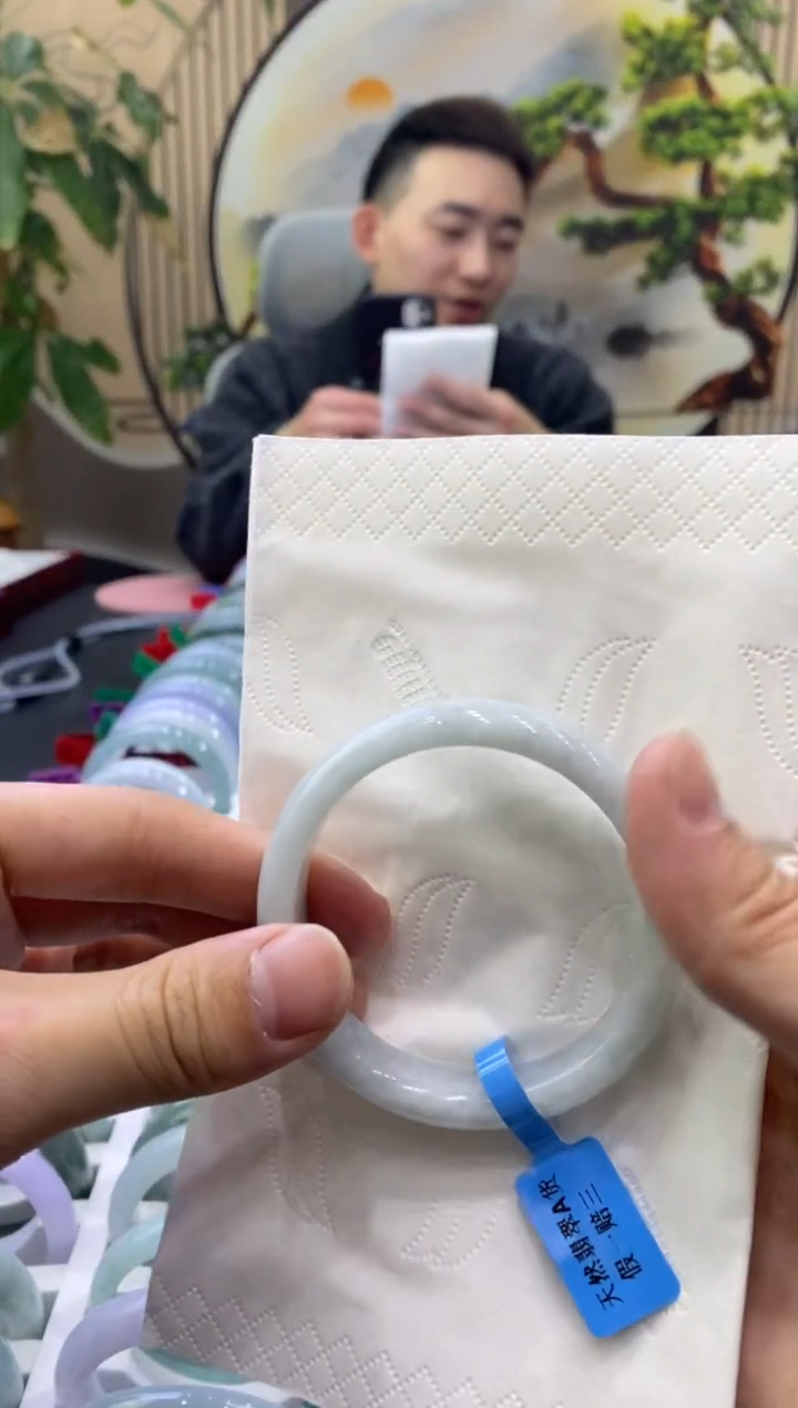 未镶嵌手镯翡翠1289