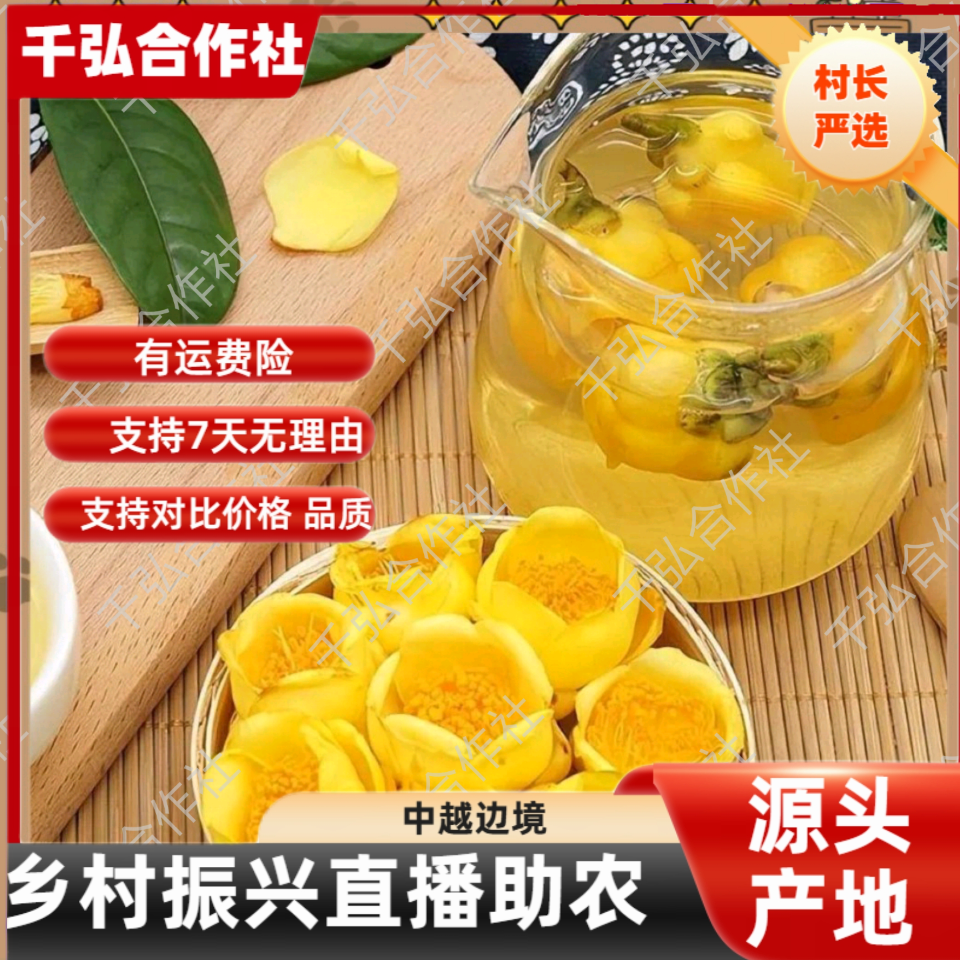 6【村长严选】源自农家【金花茶】参茶