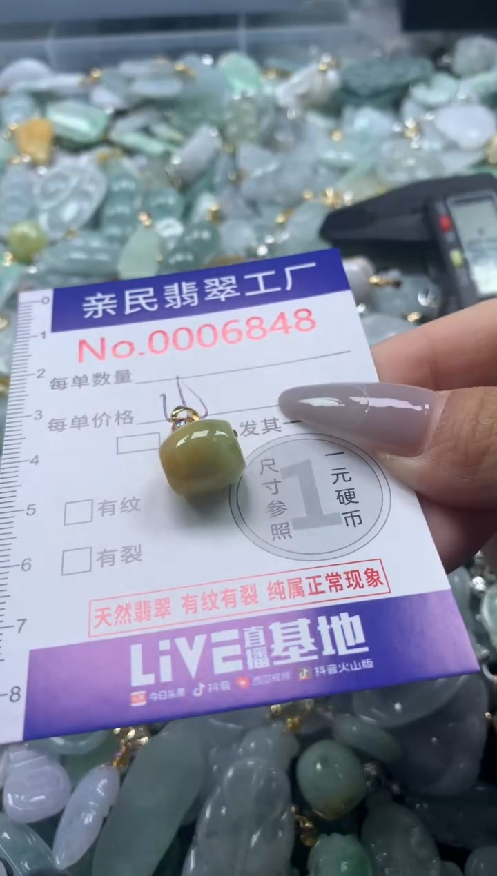 颈饰未镶嵌翡翠6848