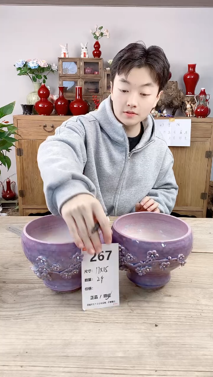 晴好园艺直播编号267