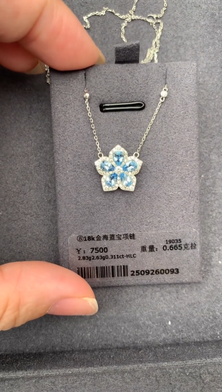 18K金镶嵌颈饰海蓝宝石0.66ct海蓝宝   GH   定制