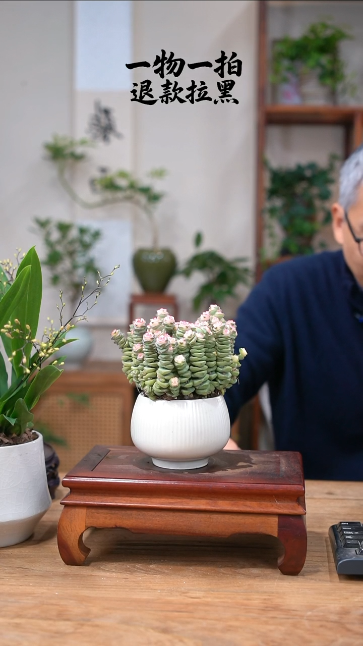 完全开放诸**宜钱串009