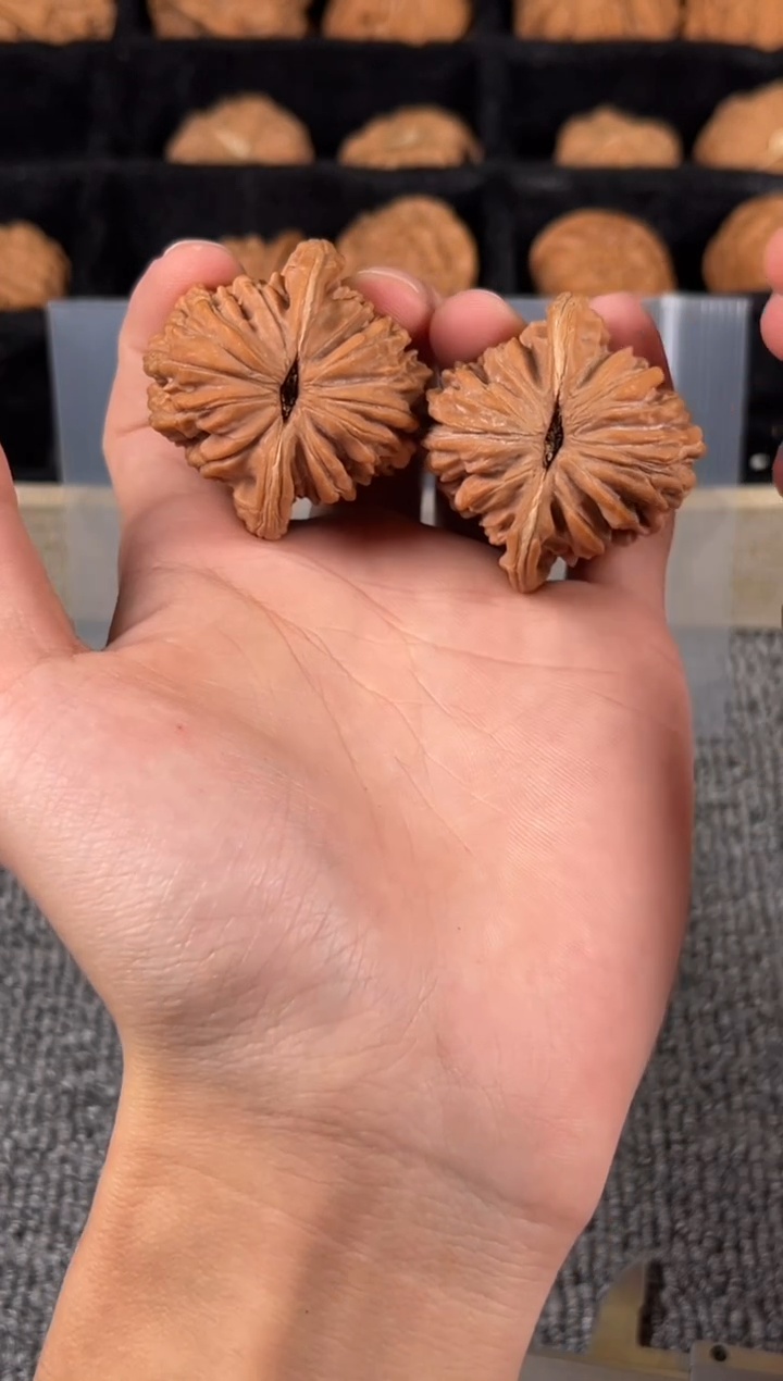 吊坠文玩核桃全品山地楼11号