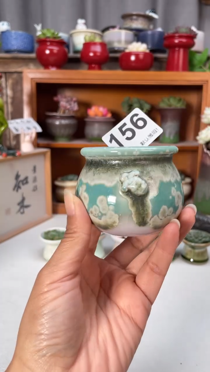 瓷片156小芳花盆直播编号