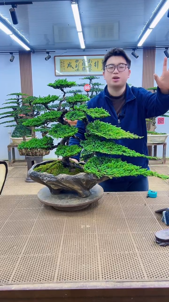 无花朵000000000000000