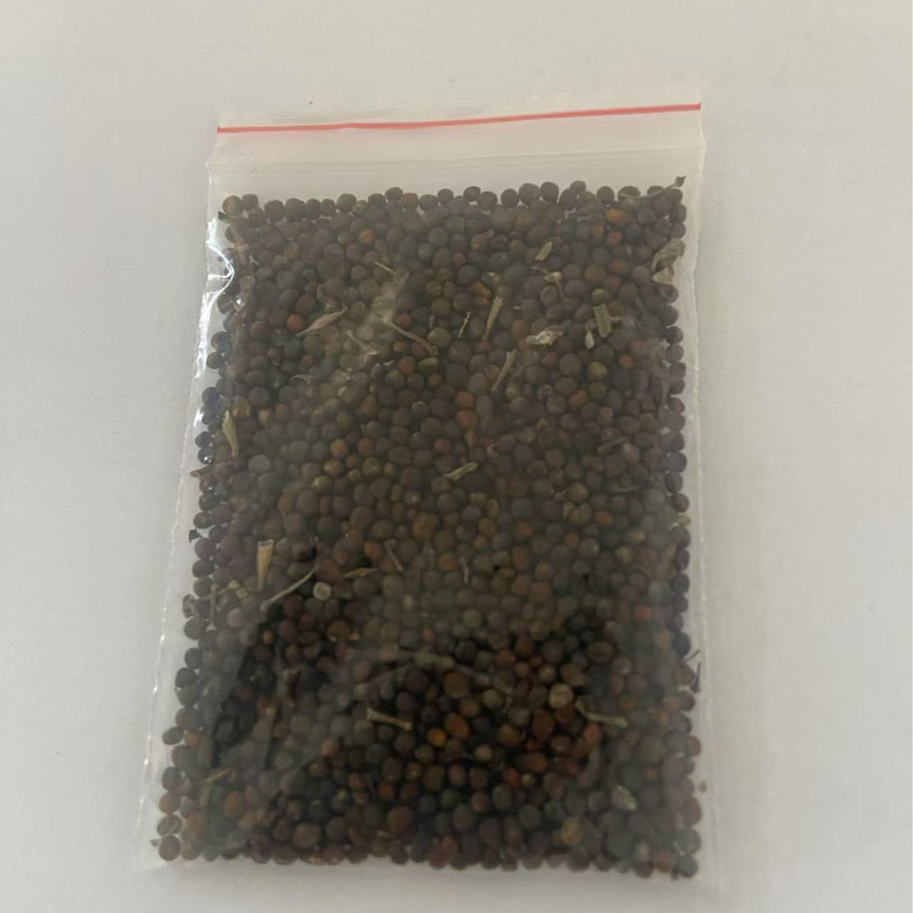 四季可播种混色冬日玫瑰羽衣甘蓝种子耐寒耐热好种好养