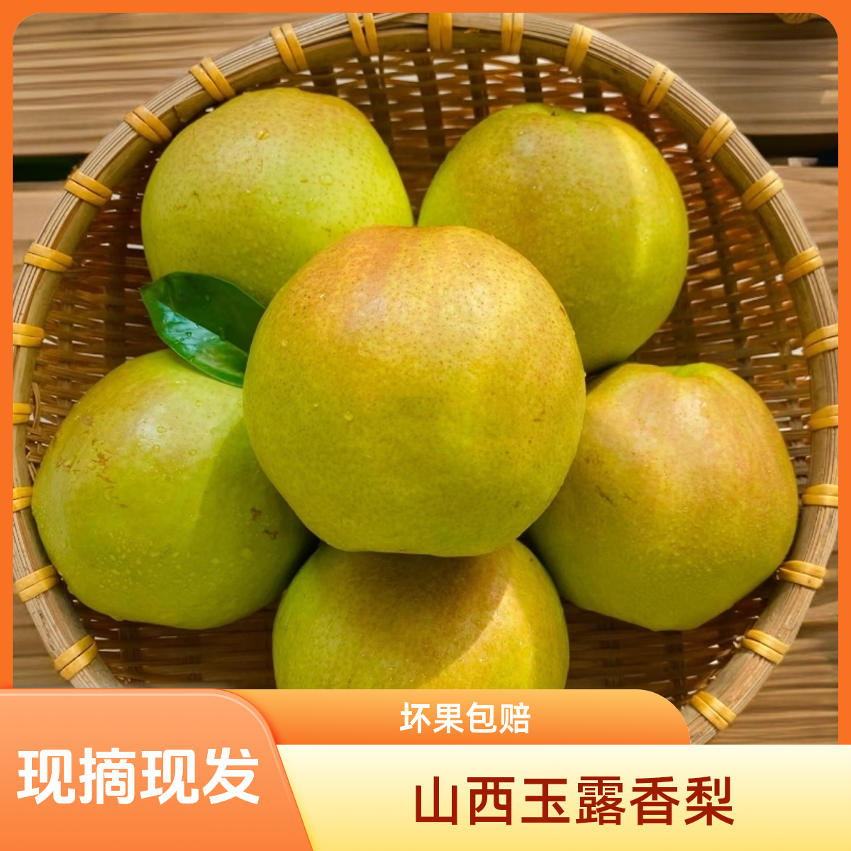 【中秋礼盒-顺丰】山西玉露香梨 梨中贵族现摘现发应季水果新鲜水果