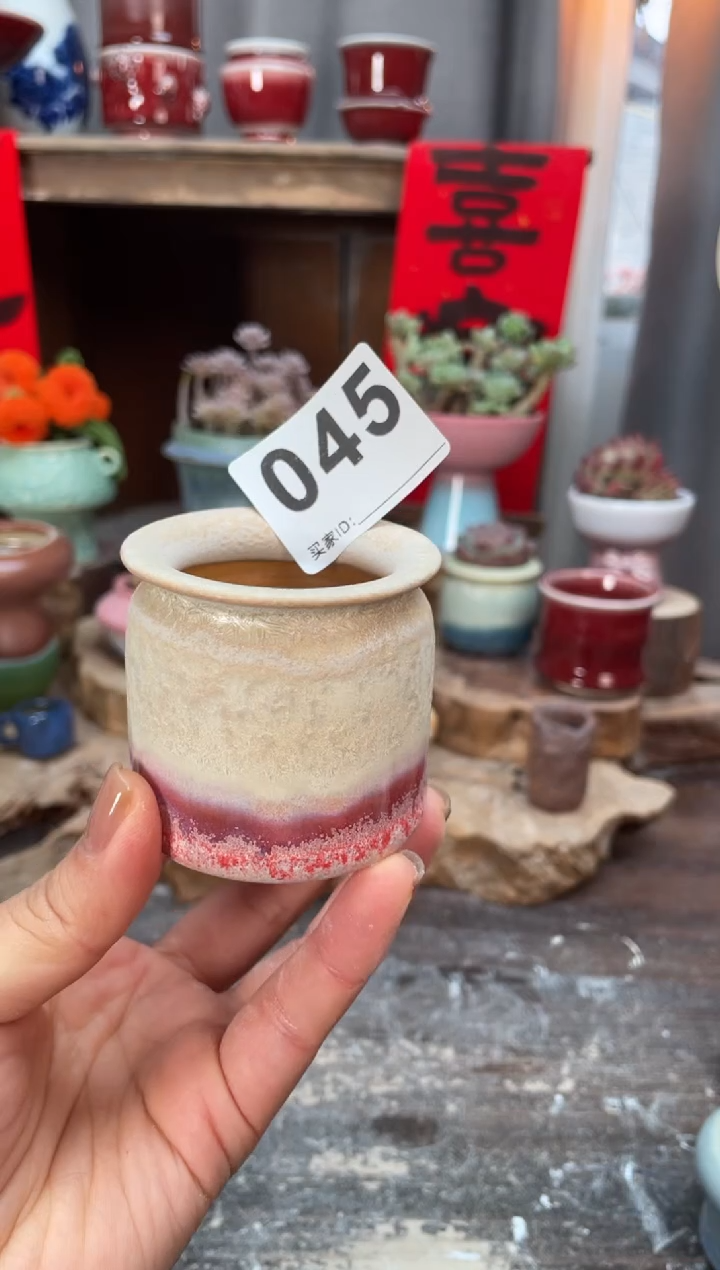 【闪购商品】摆件045知木小芳花盆