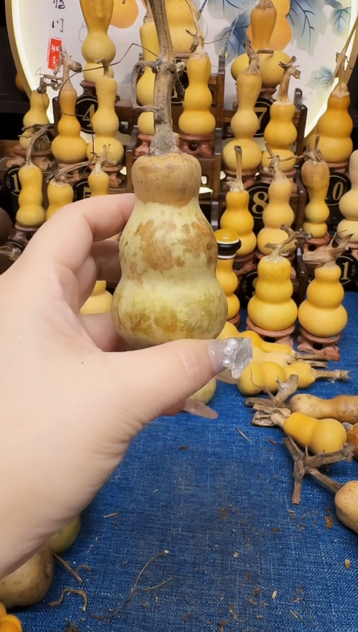 我**乖高端葫芦高端客户