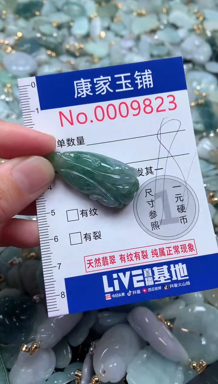 【闪购商品】翡翠吊坠(不含链)未镶嵌9823