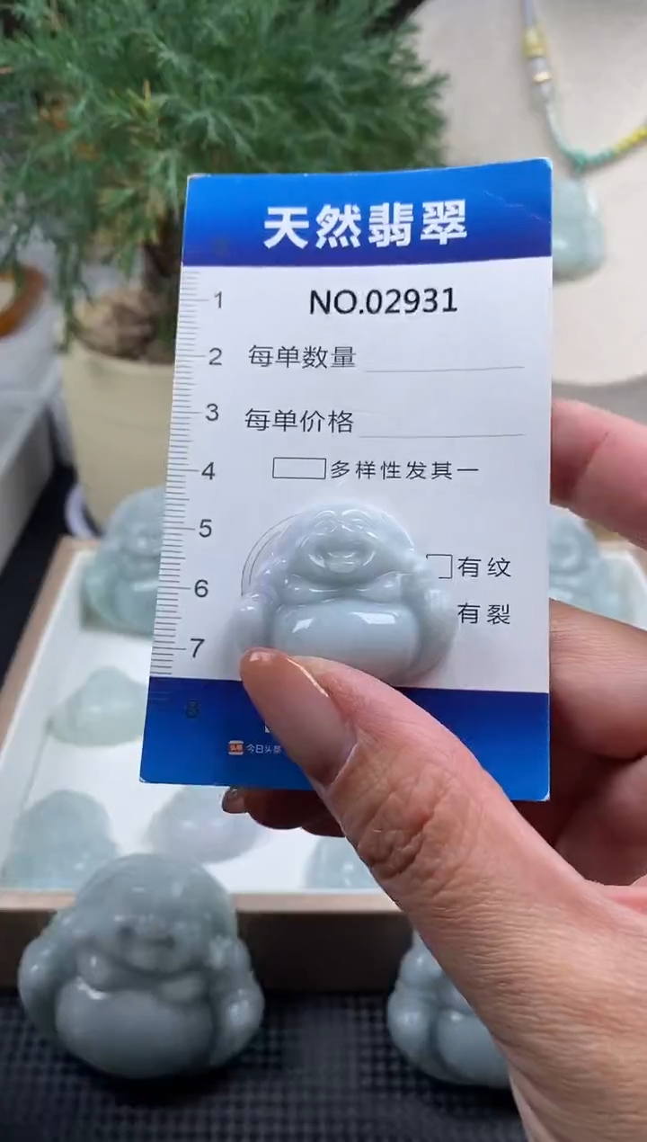 颈饰未镶嵌翡翠纯天然A货缅翡2931