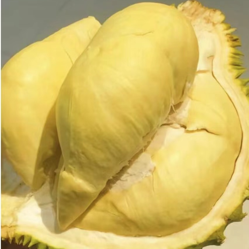 （3） 一物一拍 泰国金枕  3-10KG鲜榴莲 核小金枕泰国