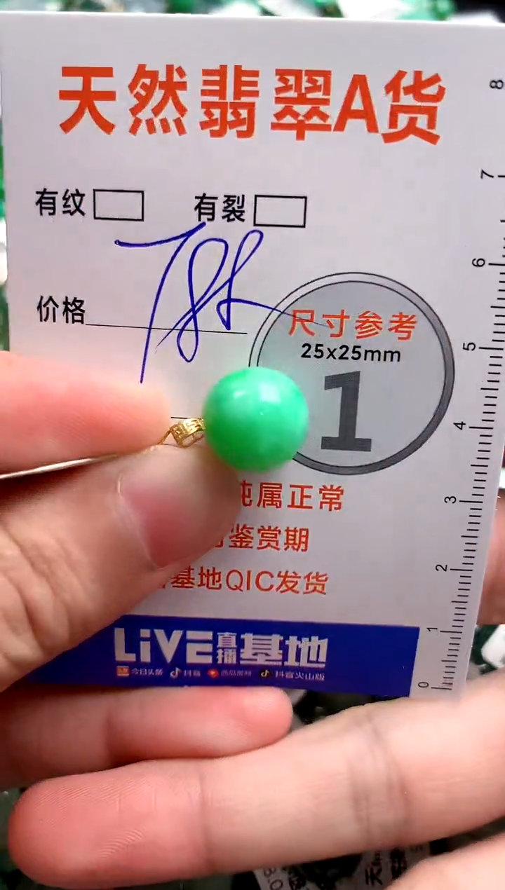 翡翠18K金镶嵌颈饰0213759158