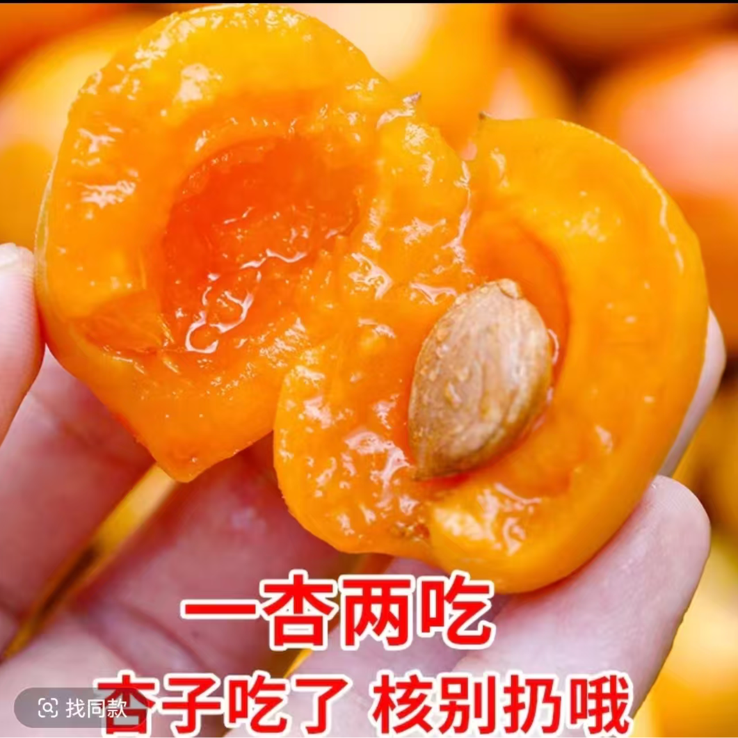 新疆正宗吊干杏 优选 3斤6斤新鲜时令水果当季现摘水果杏子新疆维吾尔自治区