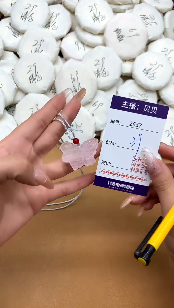 颈饰未镶嵌水晶2637