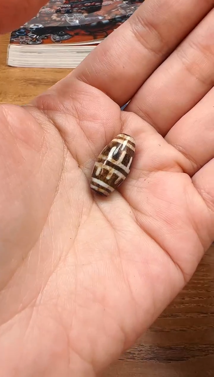 【闪购商品】木变石颈饰未镶嵌【 肖钟出品 】