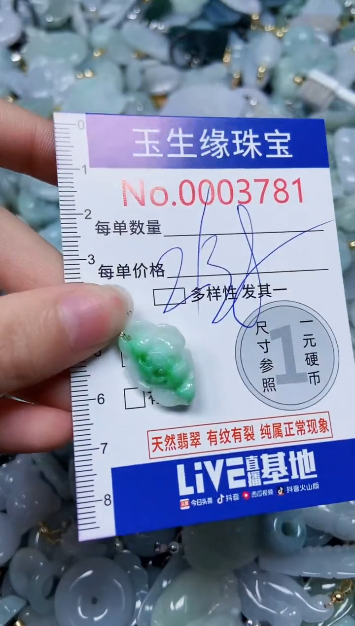 【闪购商品】翡翠颈饰未镶嵌闪购00003781