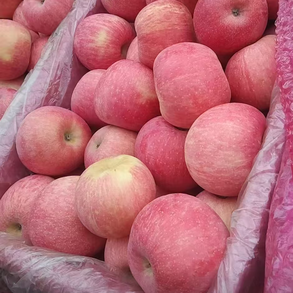 灵宝寺河山红富士条纹苹果脆甜多汁入口无渣二级果（不喜欢勿拍）