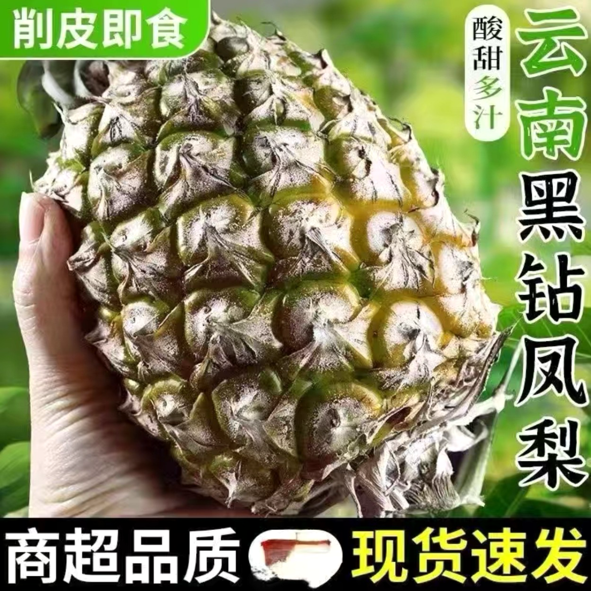 【黑钻凤梨】云南高原西双版纳自然生长甜蜜多汁新鲜水果牛奶凤梨
