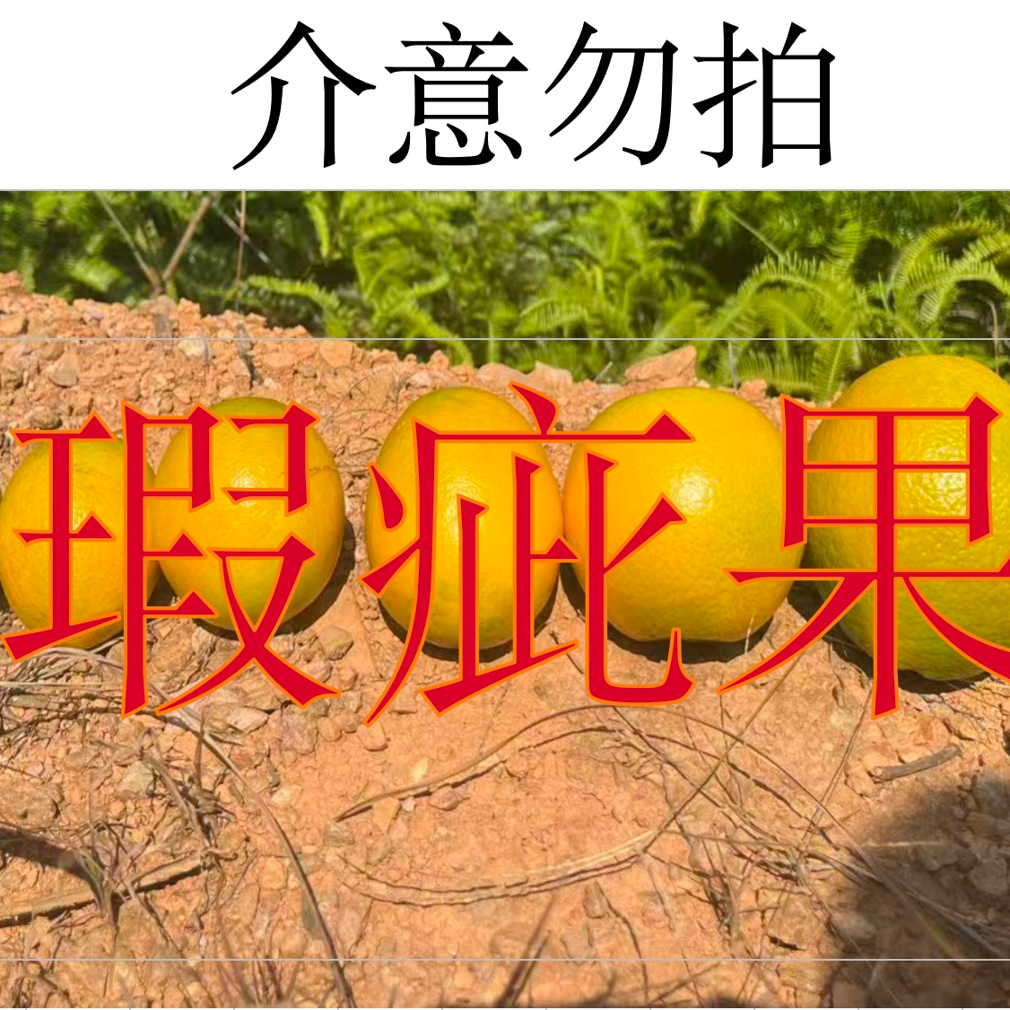 【丑果】10斤正宗赣南脐橙 早期上市 无甜蜜素 自家果园带箱