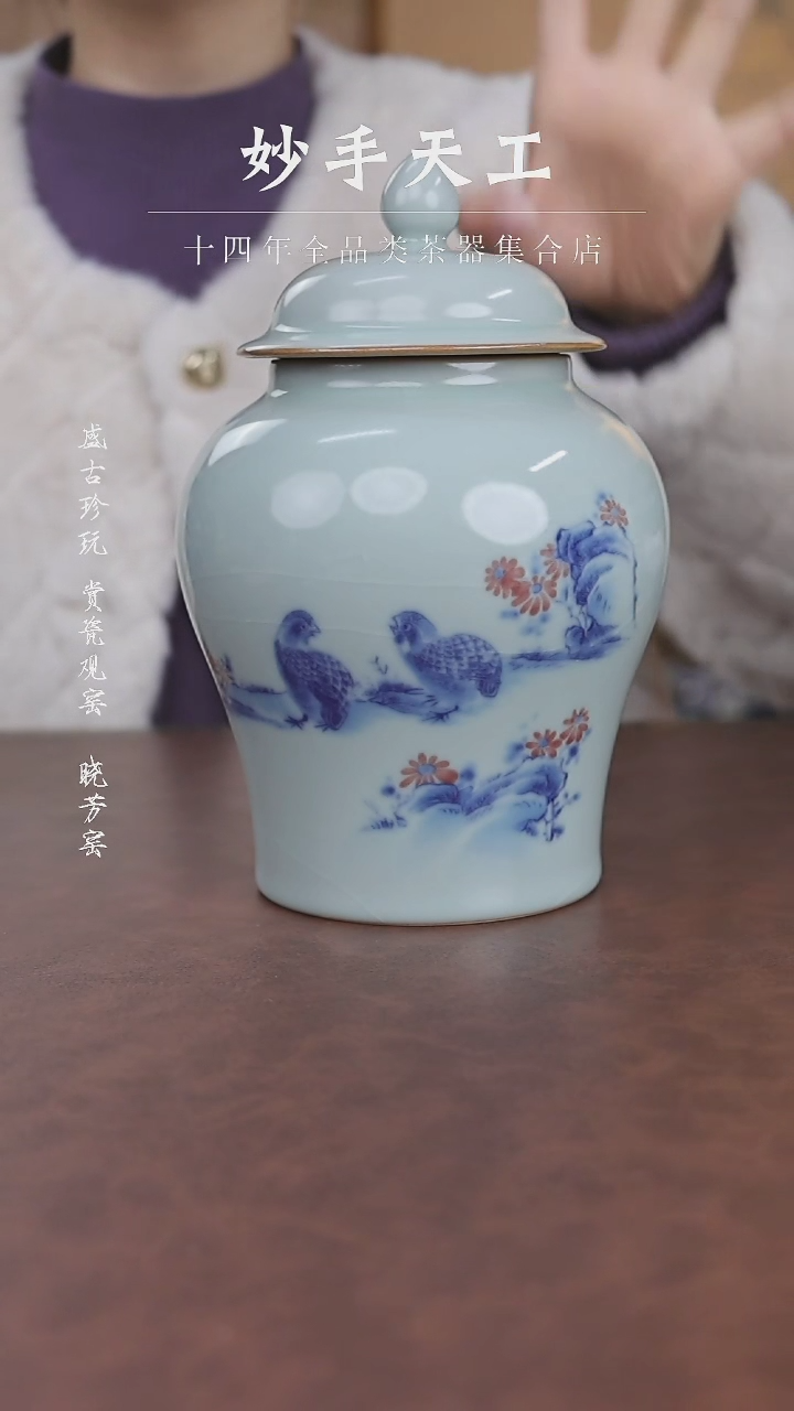 【闪购商品】福利品-汝窑天青安居乐业将军罐