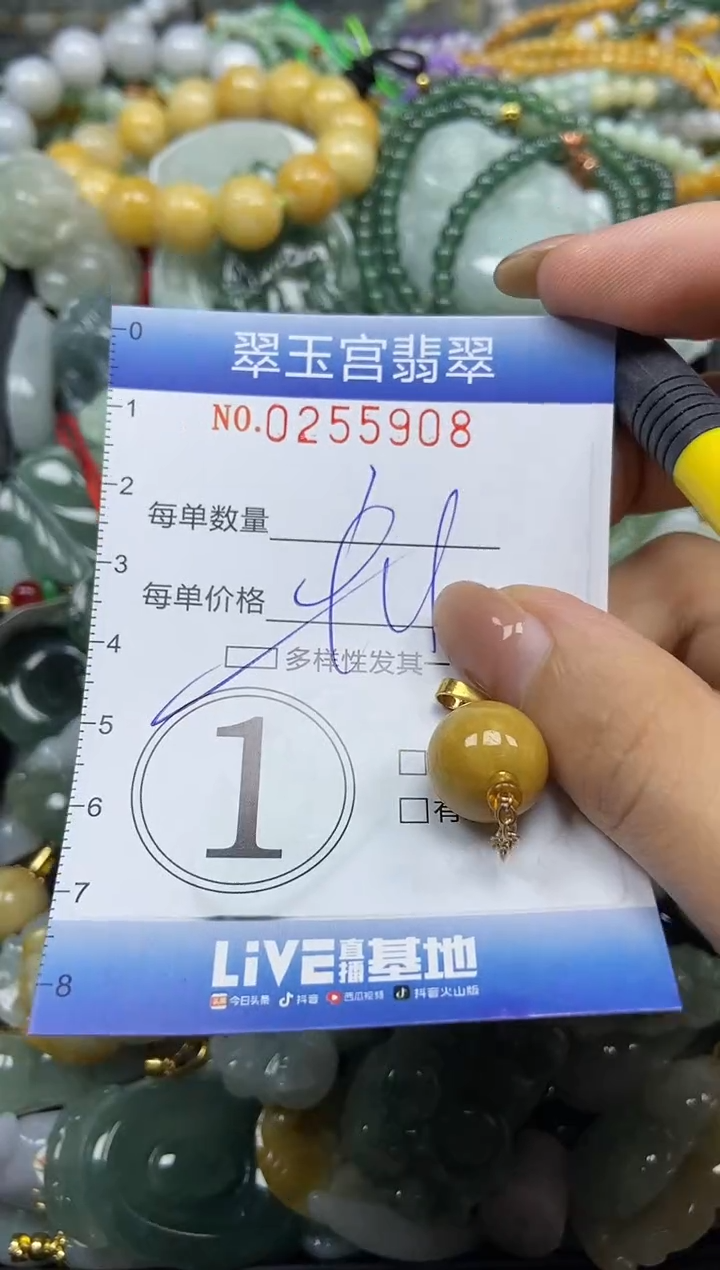 颈饰未镶嵌翡翠闪购C0255908多样性发其一