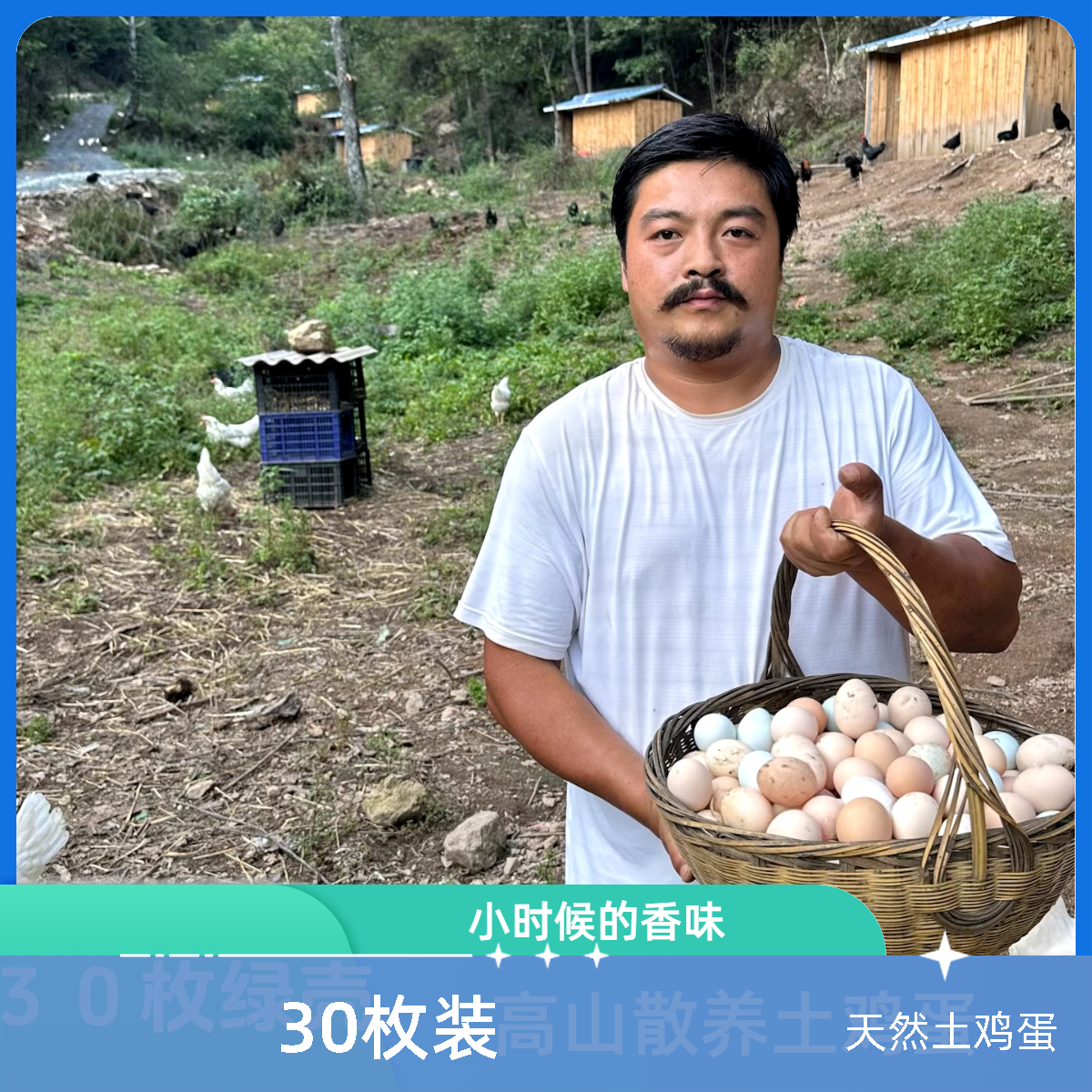 农场农家天然土鸡蛋小孩孕妇放心吃生态健康养殖喂养营养直供