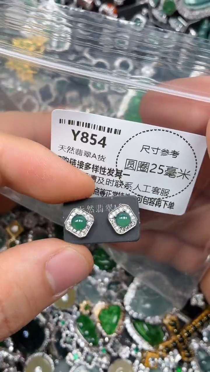 颈饰未镶嵌翡翠Y854耳钉