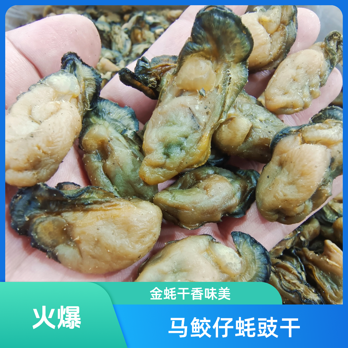 【马鲛仔海产】180-200头蚝豉干金蚝干 250g/500g 顺丰包邮博贺港