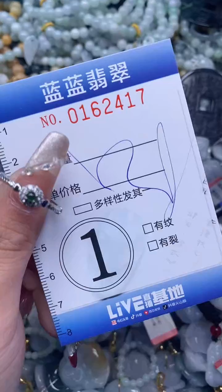 【闪购商品】翡翠颈饰未镶嵌闪购0162417