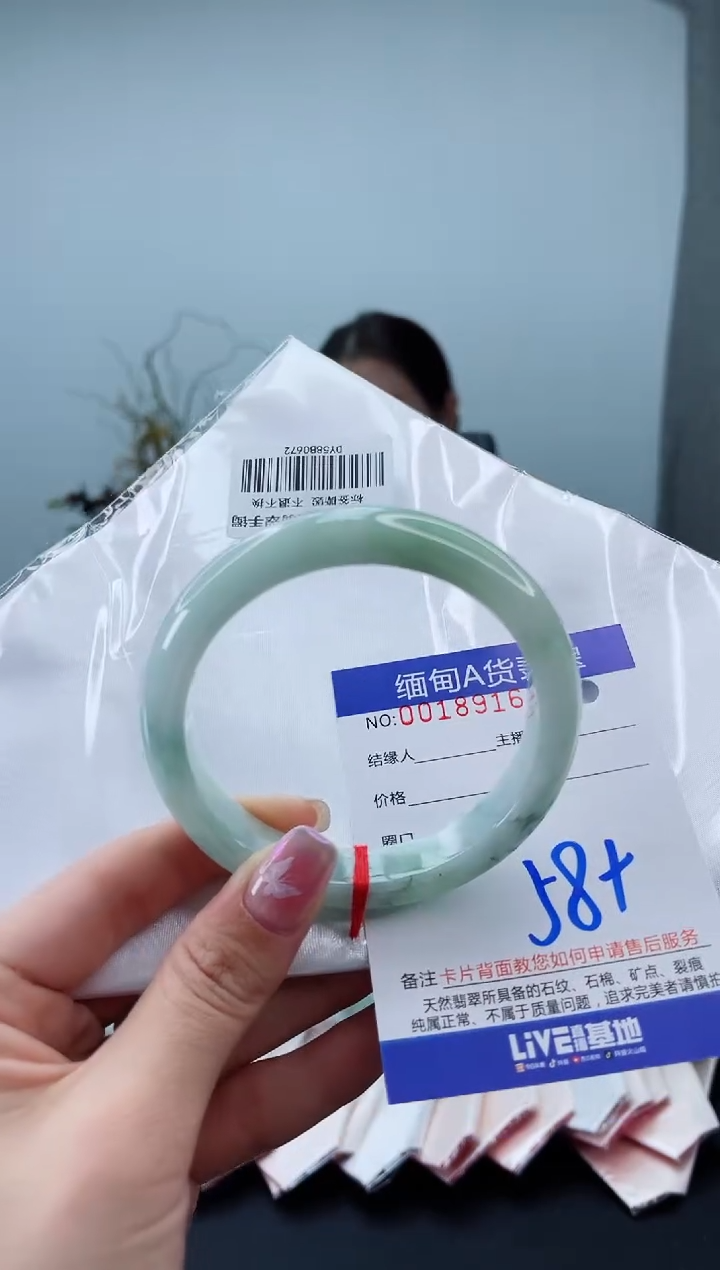 未镶嵌手镯翡翠1