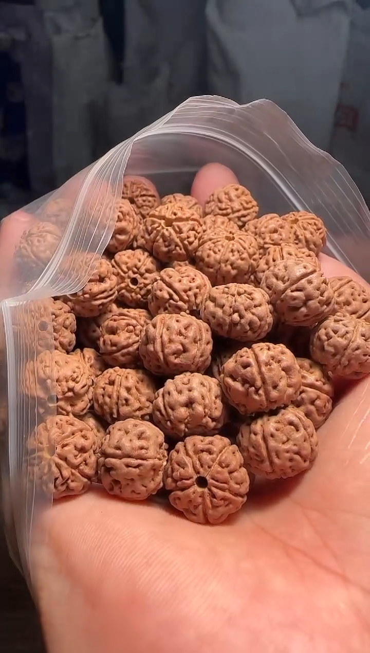 手串金刚菩提非全品老树王散籽13-14mm一份一百颗