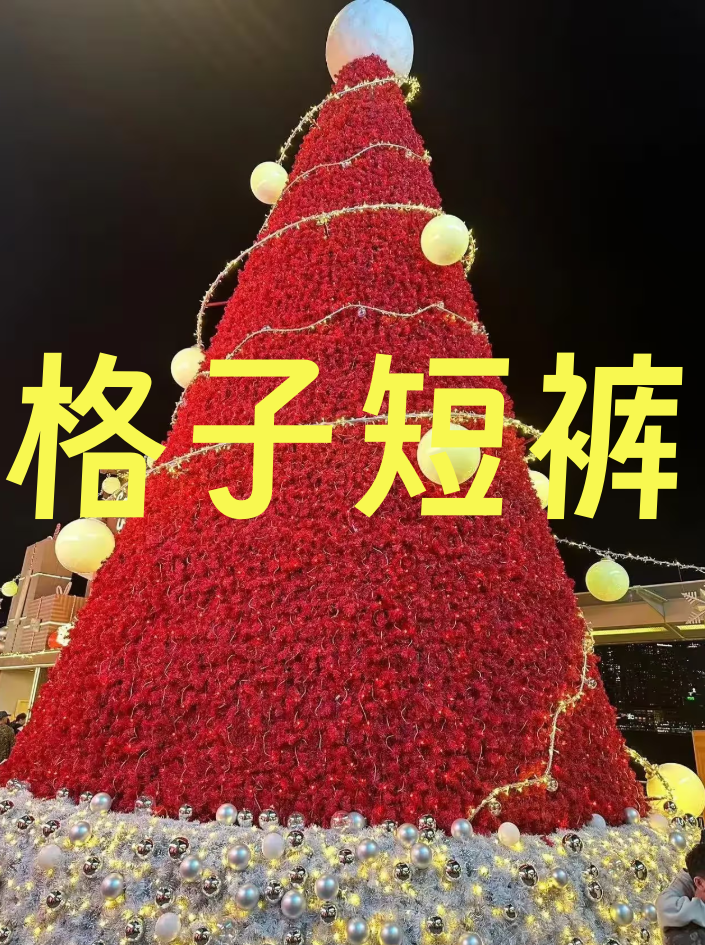 955-夏季时尚短裤-2