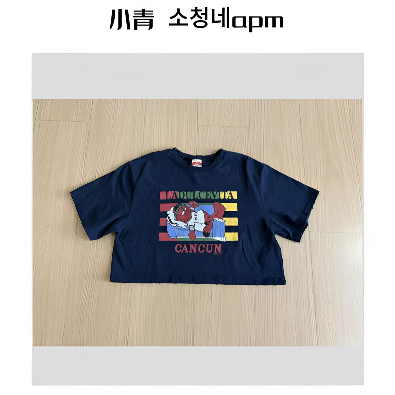 韩国东大门 公鸡/ 慵懒沙发加菲猫T恤休闲服