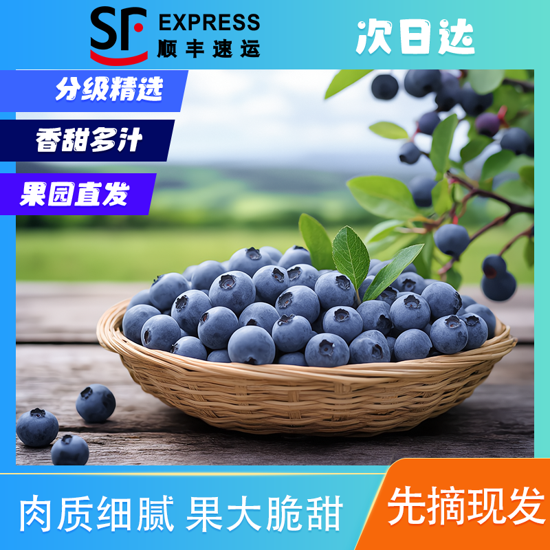 【4.7元/盒】17-22mm规格 顺丰包邮 丹东蓝莓 孕妇孩子水果 脆甜新鲜 现摘现发 花青素 黑莓 100g/盒-YT辽宁省