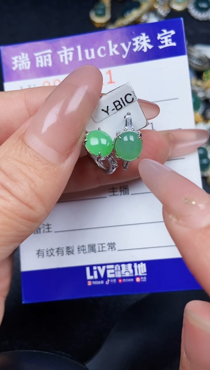 翡翠银S925镶嵌颈饰5411