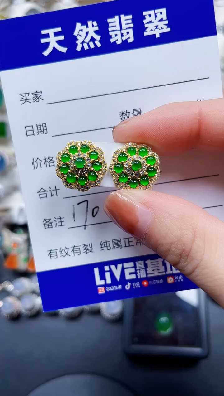 银S925镶嵌翡翠耳饰170