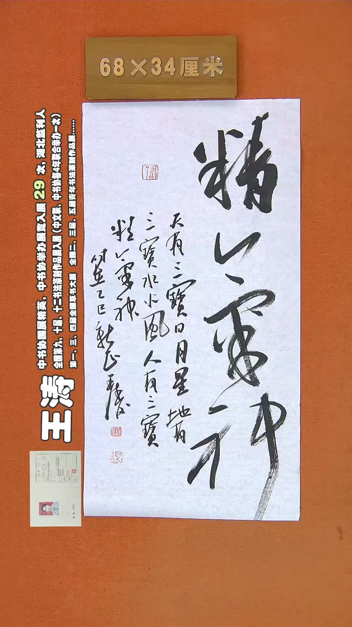 【闪购商品】书法206王涛书法作品