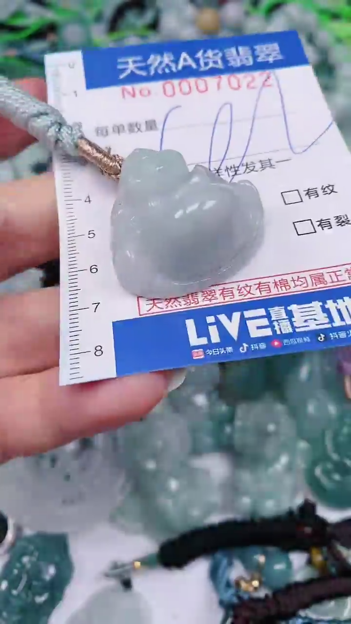 【闪购商品】翡翠未镶嵌颈饰00007022